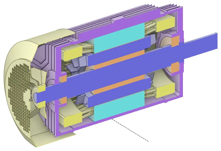 Section of the analysis model, including frame, stator and rotor cores, windings, rotor cage, shaft, front and rear bearings and the external fan.